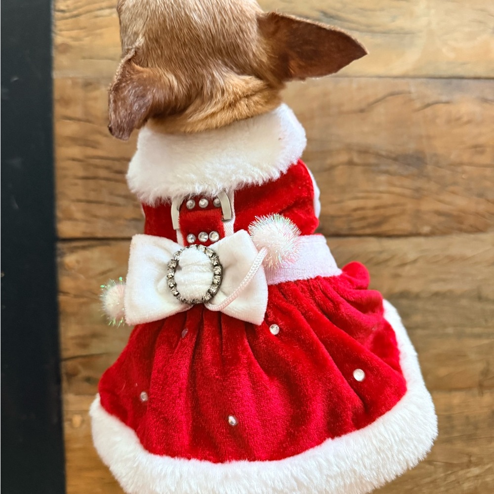 🎅🏼 Santa Dog Dress – XXS